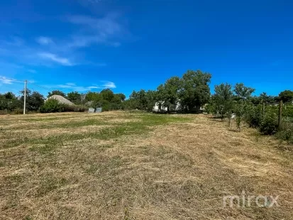 село Моловата, Криулены, Молдова изображение 168870