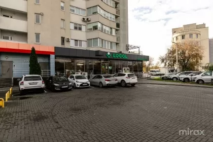 ул. Альбишоара, Центр, Кишинев изображение 239070