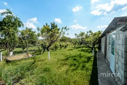 str. Morilor, s.Sireti, Straseni imaginea 223577
