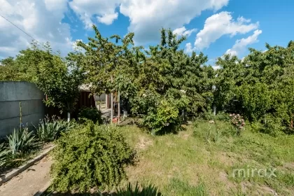 str. Morilor, s.Sireti, Straseni imaginea 223593