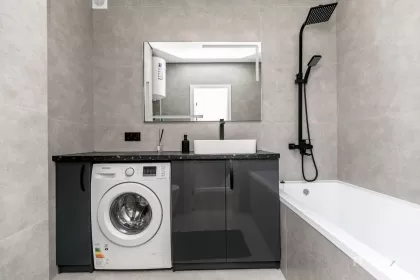 ул. Николае Титулеску, Ботаника, Кишинёв изображение 241646