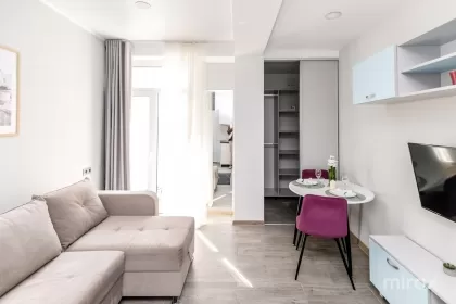 ул. Ливиу Ребряну, Чеканы,  Кишинев изображение 244033