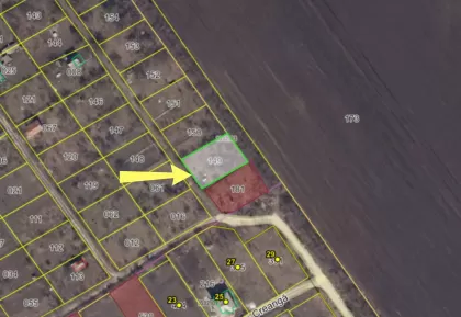 с. Максимовка, Анений Ной изображение 244913