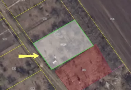 с. Максимовка, Анений Ной изображение 244912