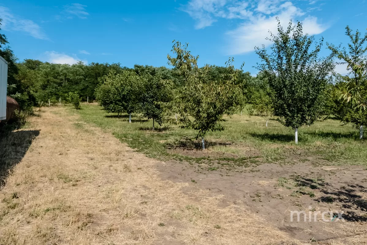 s. Malcoci, Ialoveni, mun. Chișinău