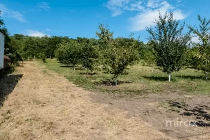 с. Малкоч, Яловены, мун. Кишинев изображение 229755