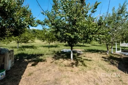 с. Малкоч, Яловены, мун. Кишинев изображение 229756