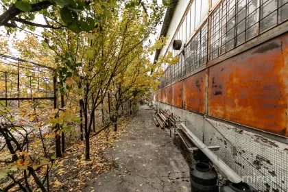 str. Uzinelor, Ciocana, mun. Chișinău image 237814