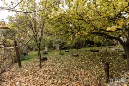 str. Uzinelor, Ciocana, mun. Chișinău image 237816