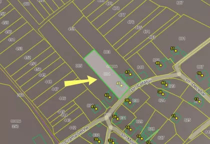 s. Suruceni, Ialoveni, mun. Chișinău imaginea 244041