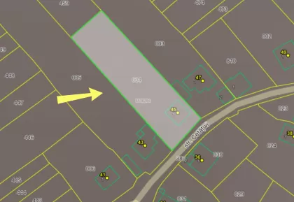 s. Suruceni, Ialoveni, mun. Chișinău imaginea 244040