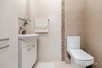 ул. Богдан Воевод, Рышкань, Кишинев изображение 239151