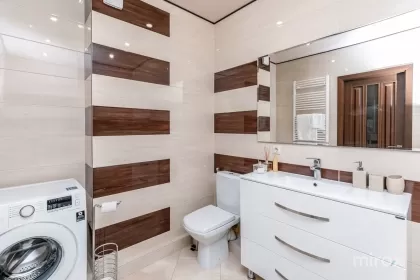 ул. Богдан Воевод, Рышкань, Кишинев изображение 239153