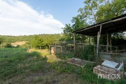 с. Сагайдык, Криулень, Кишинев изображение 229793