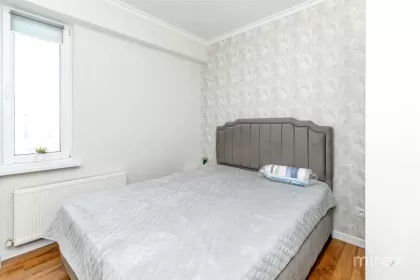 бул. Алба Юлия, Буюканы, Кишинев изображение 244057