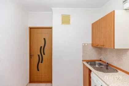 ул. Индепенденцей, Ботаника, Кишинев