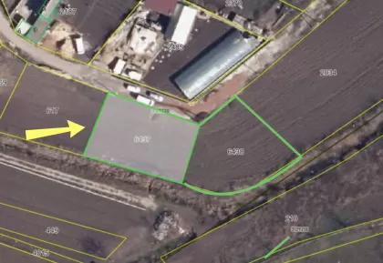 с. Мэгдэчешть, мун. Кишинёв изображение 244065