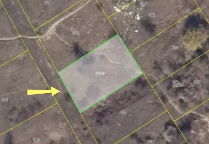 s. Bic, com. Bubuieci, mun. Chișinău imaginea 244934