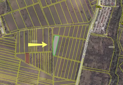 str. Gheorghe Codreanu, Durlești imaginea 239200