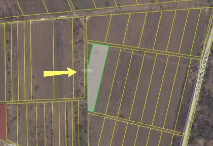 str. Gheorghe Codreanu, Durlești imaginea 239199