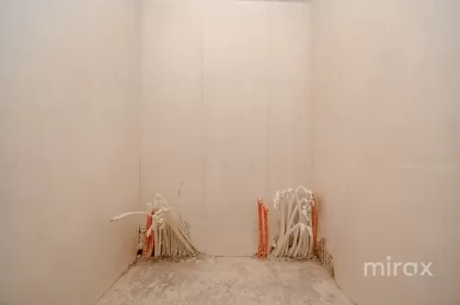 ул. Скиноаса Вале, Кодру, Кишинев изображение 236579