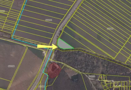 с. Пересечина, Орхей, мун. Кишинев изображение 237873