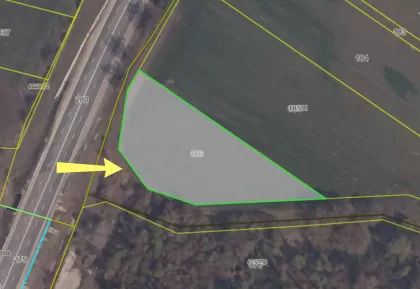 с. Пересечина, Орхей, мун. Кишинев изображение 237874