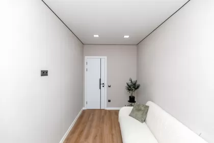 ул. Василе Лупу, Буюканы, Кишинев изображение 241723