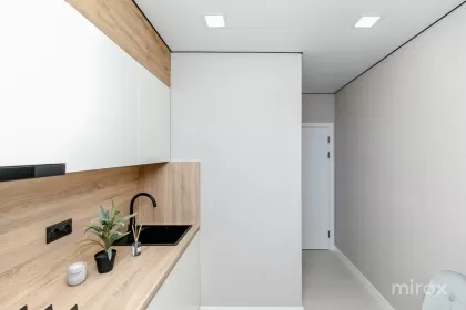 ул. Василе Лупу, Буюканы, Кишинев изображение 241720