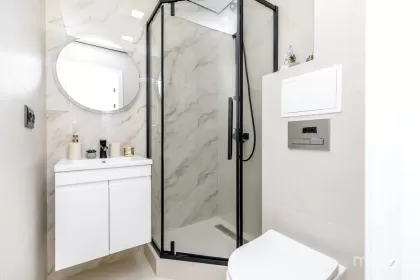 ул. Василе Лупу, Буюканы, Кишинев изображение 241731