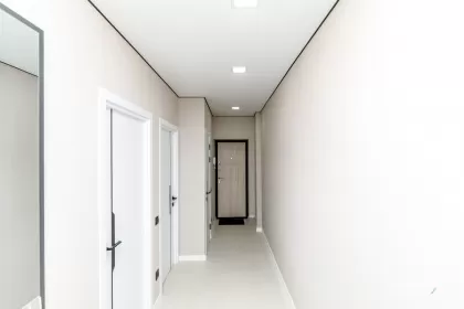 ул. Василе Лупу, Буюканы, Кишинев изображение 241732