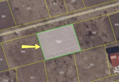 с. Будешть, мун Кишинев изображение 242951