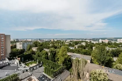 ул. Индепенденцей, Ботаника, Кишинев изображение 226006