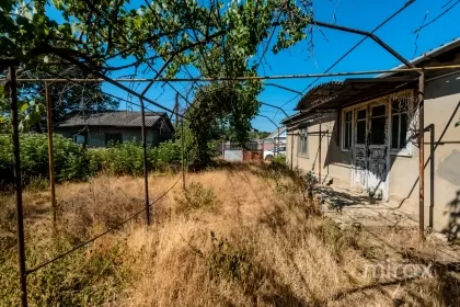str. Aleksandr Pușkin,  Anenii Noi, mun. Chișinău imaginea 228579