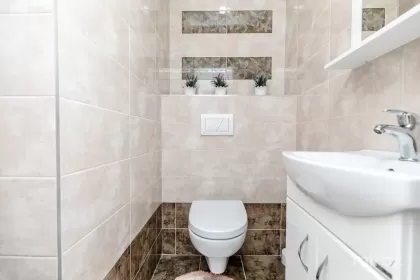 str. Nicolae Testemițanu, Centru, Chișinău imaginea 240536