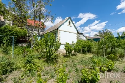 с. Кошерница, Криулень, Кишинев изображение 221782