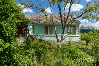 с. Кошерница, Криулень, Кишинев изображение 221774