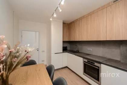ул. Корнешты, Рышкань, Кишинев изображение 226008