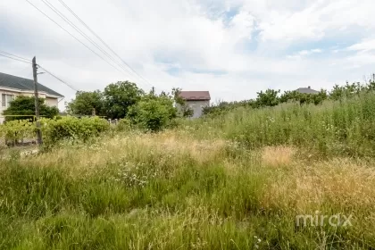 IP Livada Vis, Ialoveni, mun. Chișinău image 226048