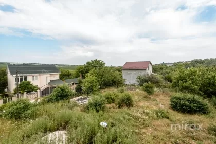 IP Livada Vis, Ialoveni, mun. Chișinău image 226044