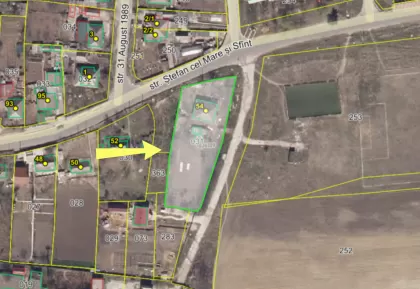 s. Merenii Noi, Anenii Noi,  Chișinău image 239210