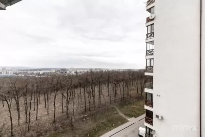 ул. Михаил Садовяну, Чокана, Кишинев изображение 244138