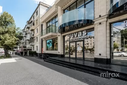 bd. Grigore Vieru, Centru, mun. Chișinău imaginea 222376
