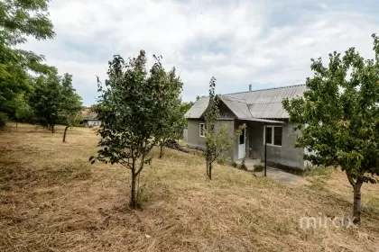 str. Luceafărul, Sângera, mun. Chișinău imaginea 226052