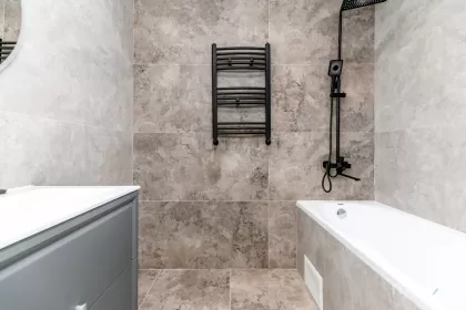 ул. Василе Лупу, Буюканы изображение 244997