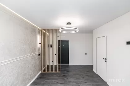 ул. Василе Лупу, Буюканы изображение 245011