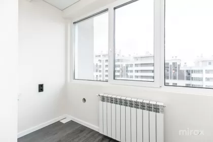 ул. Василе Лупу, Буюканы изображение 245015