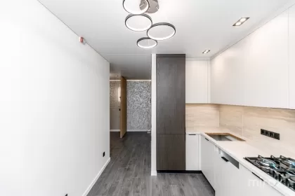 ул. Василе Лупу, Буюканы изображение 245004