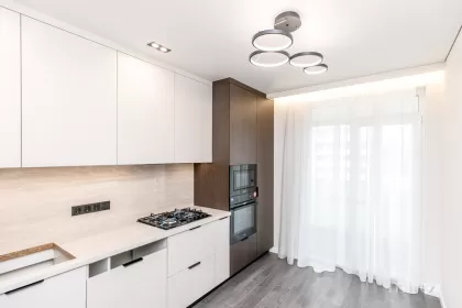 ул. Василе Лупу, Буюканы изображение 245003