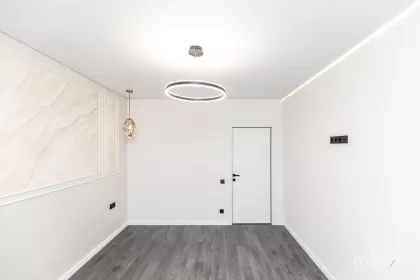 ул. Василе Лупу, Буюканы изображение 245006